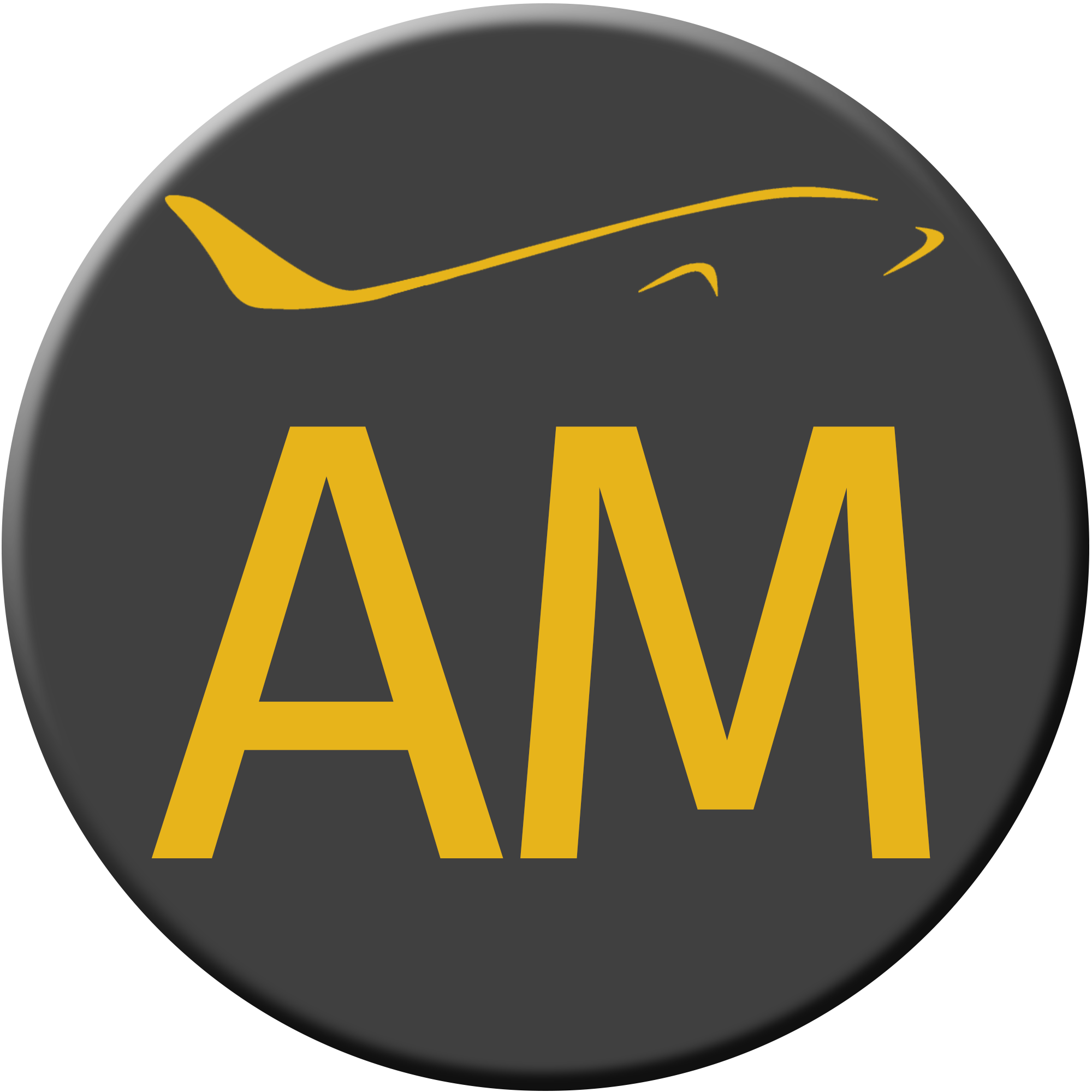 AM Discord Icon.png